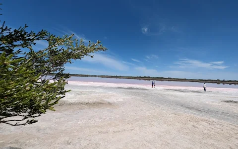 Pink Punit Lake image
