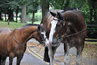 Cardiff Riding School