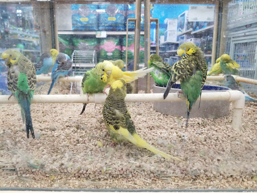 Pet Supply Store «Pet Supermarket», reviews and photos, 835 Blanding Blvd, Orange Park, FL 32065, USA