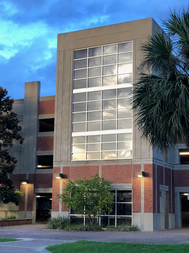 Natural History Museum «Florida Museum of Natural History», reviews and photos, 3215 Hull Rd, Gainesville, FL 32611, USA