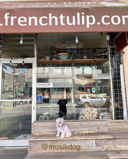 Florist «French Tulip Flower Shop», reviews and photos, 3903 24th St, San Francisco, CA 94114, USA