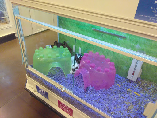 Pet Supply Store «PetSmart», reviews and photos, 1561 N Dysart Rd, Avondale, AZ 85323, USA