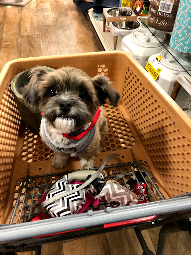 Department Store «HomeGoods», reviews and photos, 8345 3rd St N, Oakdale, MN 55128, USA