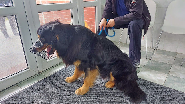 Veterinárna klinika PB-VET Telefónne číslo