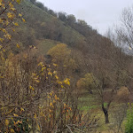 Photo n°1 de l'avis de Nadia.i fait le 13/06/2018 à 19:17 sur le  Trattoria Del Tasso à Castel di Tora