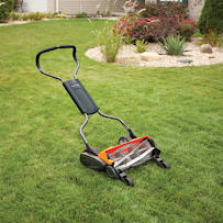 Green Clippers, Denver Lawn Mowing