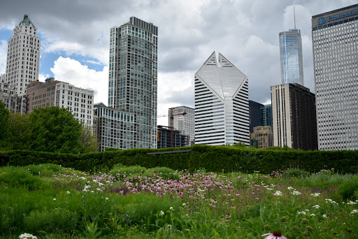 Lurie Garden, 220 E Monroe St, Chicago, IL 60601