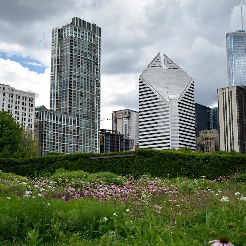 Lurie Garden