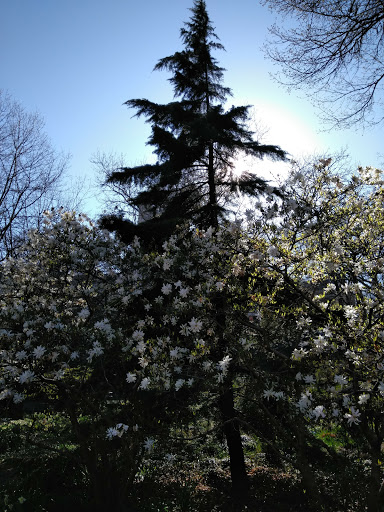 National Park «Hamilton Grange National Memorial», reviews and photos, 414 W 141st St, New York, NY 10031, USA