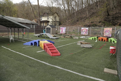 Pittsburgh Paws Pet Resort