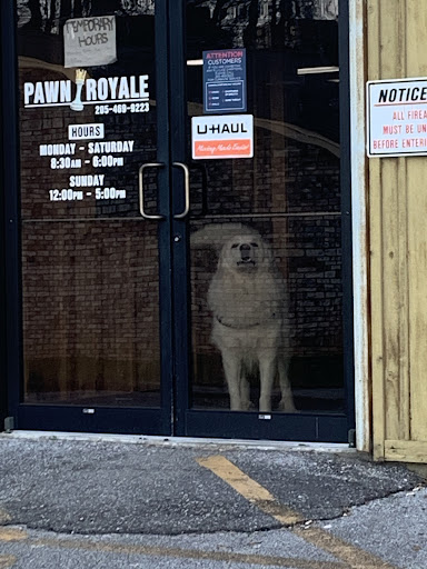 Financial Institution «Pawn Royale», reviews and photos, 1019 McFarland Blvd, Northport, AL 35476, USA
