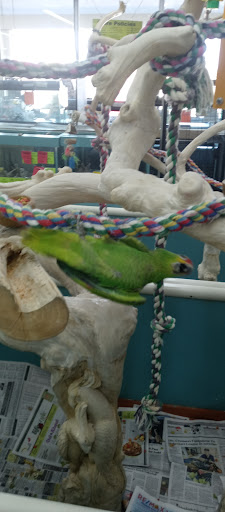 Pet Store «Leesburg Pet Center», reviews and photos, 959 N 14th St, Leesburg, FL 34748, USA