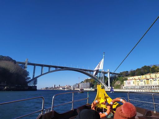 Passeios de barco Oporto