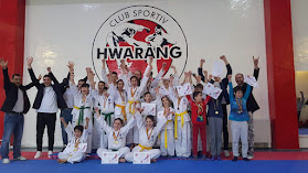 CS Hwarang Sibiu Taekwondo, Kickboxing