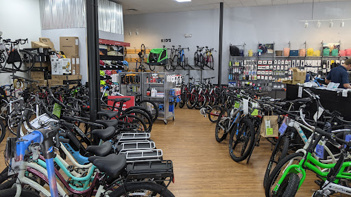 Bicycle Store «Bird Legs Bicycles», reviews and photos, 1313 Beach Blvd, Jacksonville Beach, FL 32250, USA