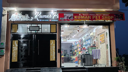 Kumar Kennel and Pet Shop - Best Pet Shop in Nawanshahr, Pet Accessories, Fish Aquarium Shop, Dog Grooming in Nawanshahr