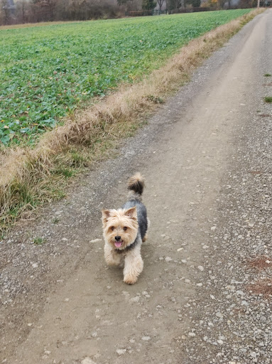 Main Tierarzt Hafenlohr unter Hafenlohr, 