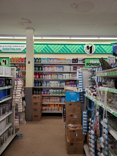 Dollar Store «Dollar Tree», reviews and photos, 150 Columbus Blvd, New Britain, CT 06051, USA