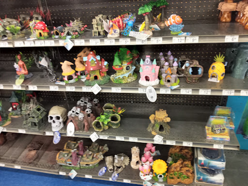 Pet Supply Store «Petco Animal Supplies», reviews and photos, 30697 US Hwy 19 N, Palm Harbor, FL 34684, USA