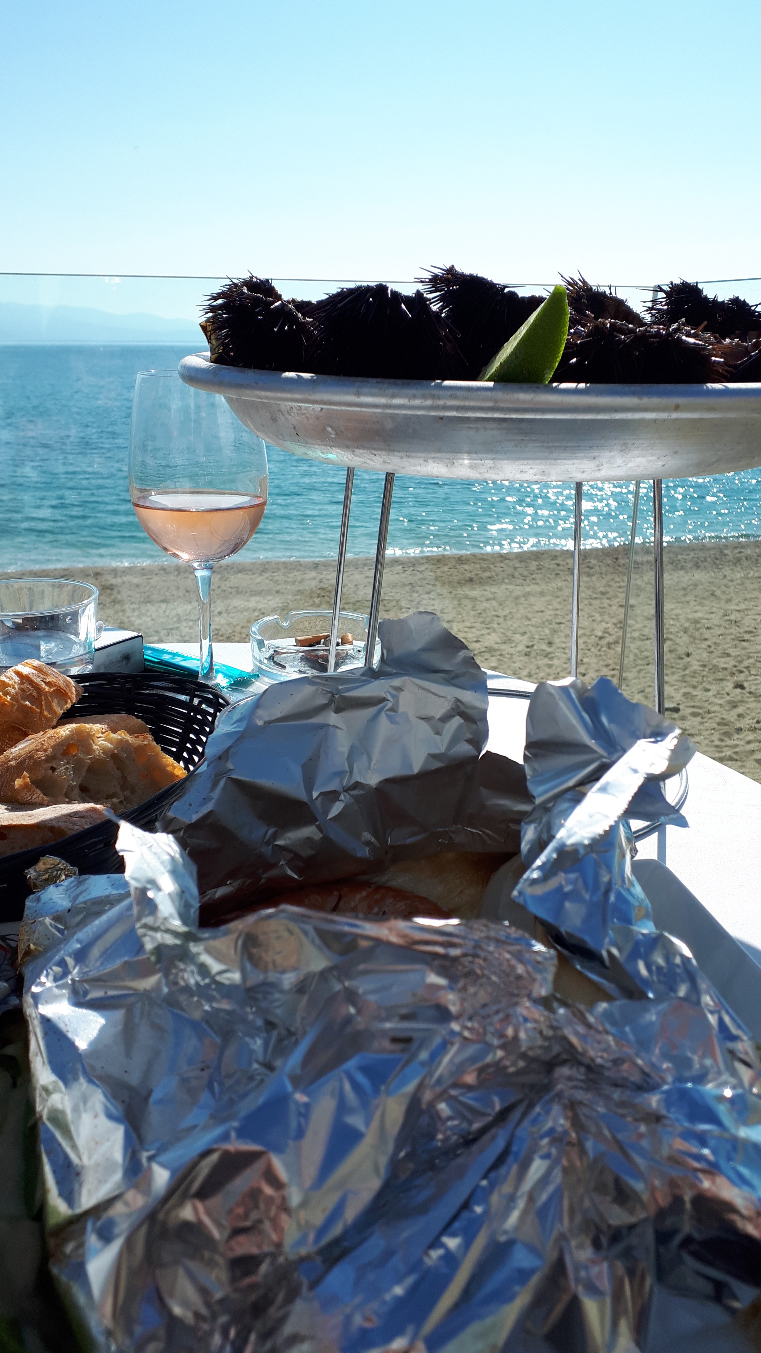 Photo n° 5 de l'avis de orlanducci.n fait le 28/02/2019 à 14:03