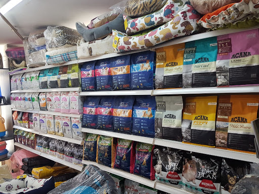 Oyer Petshop | Maltepe İstanbul - Evcil Hayvan Malzemeleri Mağazası