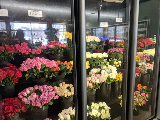 Florist «Metropolitan Plant & Flower Exchange Inc.», reviews and photos, 2125 Fletcher Ave, Fort Lee, NJ 07024, USA
