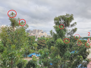 Google Maps image 17