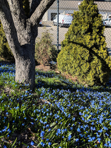 Stadium «Michigan Stadium», reviews and photos, 1201 S Main St, Ann Arbor, MI 48104, USA