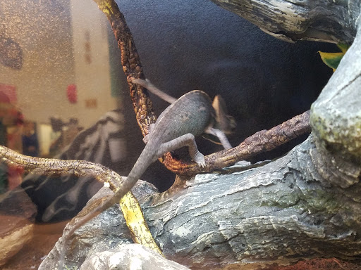 Pet Supply Store «PetSmart», reviews and photos, 12051 W Sunrise Blvd, Plantation, FL 33323, USA