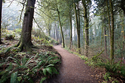 Hoyt Arboretum Portland 