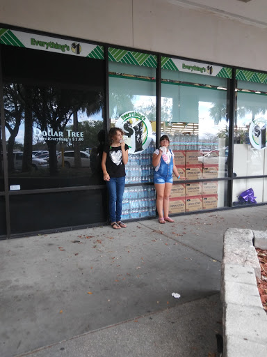 Dollar Store «Dollar Tree», reviews and photos, 7089 W Waters Ave, Tampa, FL 33634, USA