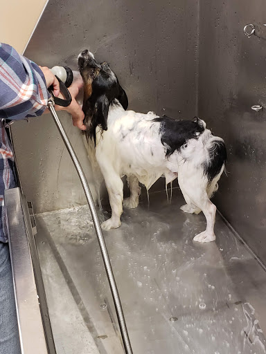 Pet Supply Store «Lemos Feed & Pet Supply», reviews and photos, 1320 Main St, Morro Bay, CA 93442, USA