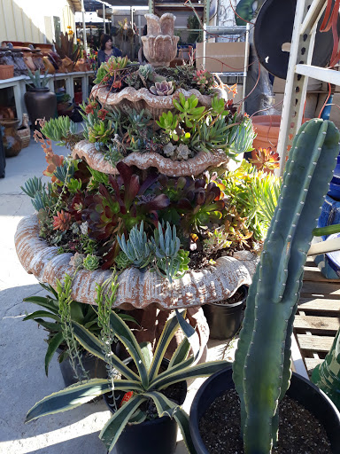 Florist «Plant Safari», reviews and photos, 653 N Central Ave, Upland, CA 91786, USA