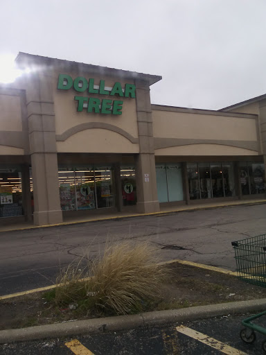 Dollar Store «Dollar Tree», reviews and photos, 528 North Ave, Glendale Heights, IL 60139, USA
