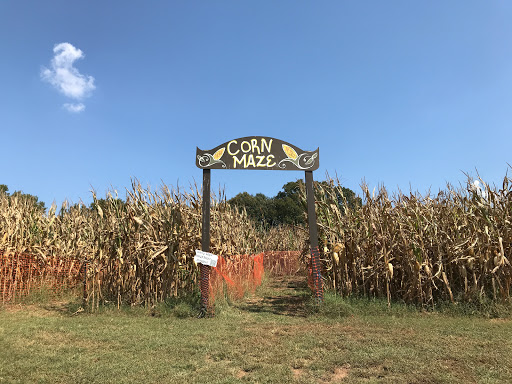 Farm «Warbington Farms (U-Pick Strawberries)», reviews and photos, 5555 Crow Rd, Cumming, GA 30041, USA