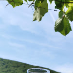 Photo n°10 de l'avis de Michael.� fait le 18/07/2022 à 15:15 sur le  Hotel & Restaurant Zwei Mohren à Rüdesheim am Rhein