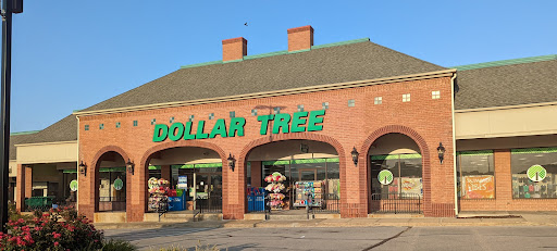 Dollar Store «Dollar Tree», reviews and photos, 12533 Olive Blvd, Creve Coeur, MO 63141, USA