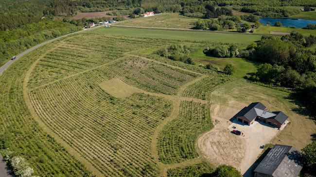 Kommentarer og anmeldelser af Proviido Skov & Natur