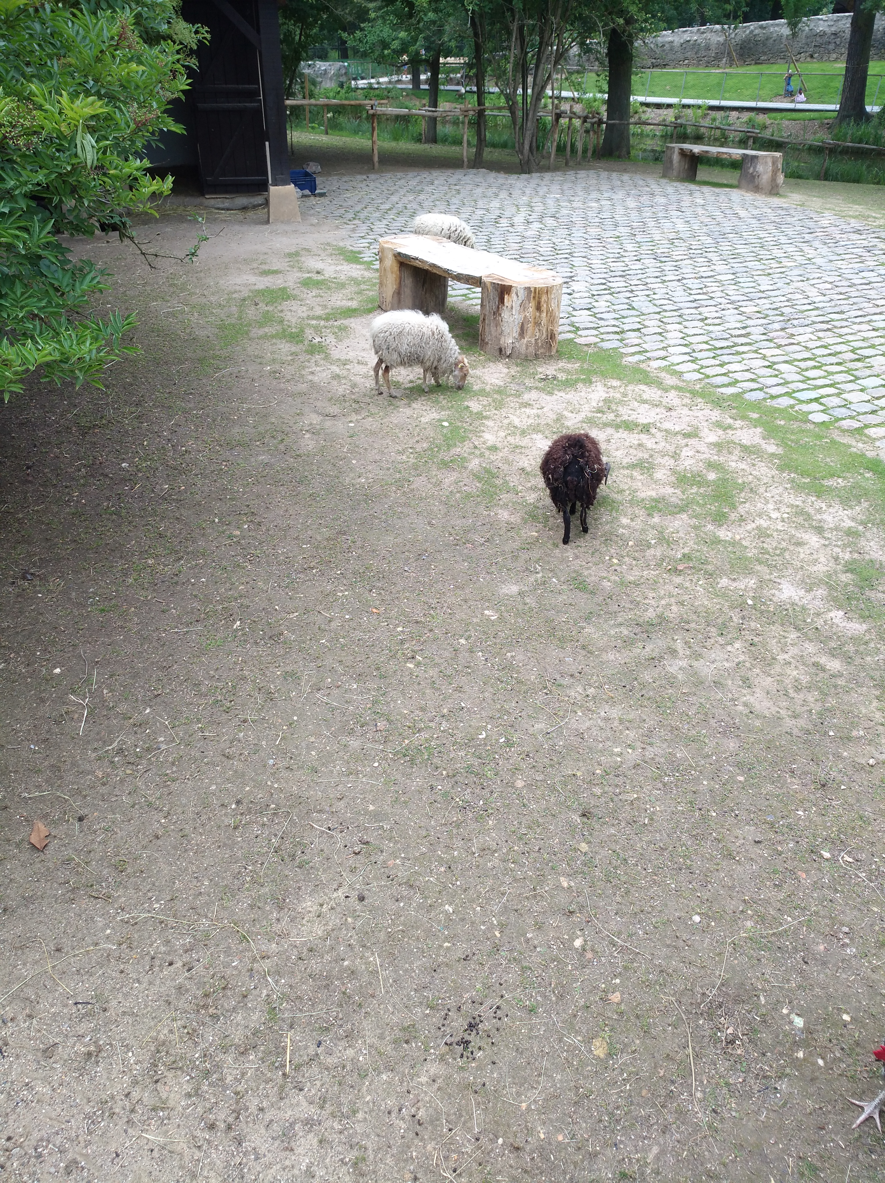 Photo n° 15 de l'avis de jehin.o fait le 10/06/2018 à 17:51