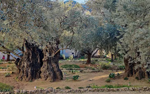 Gethsemane image