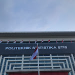 Review Politeknik Statistika STIS