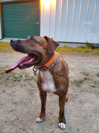 Pet Supply Store «PetSmart», reviews and photos, 450 Fairview Ave, Hudson, NY 12534, USA