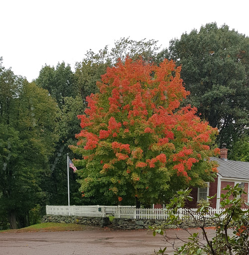 Museum «Larz Anderson Auto Museum», reviews and photos, 15 Newton St, Brookline, MA 02445, USA