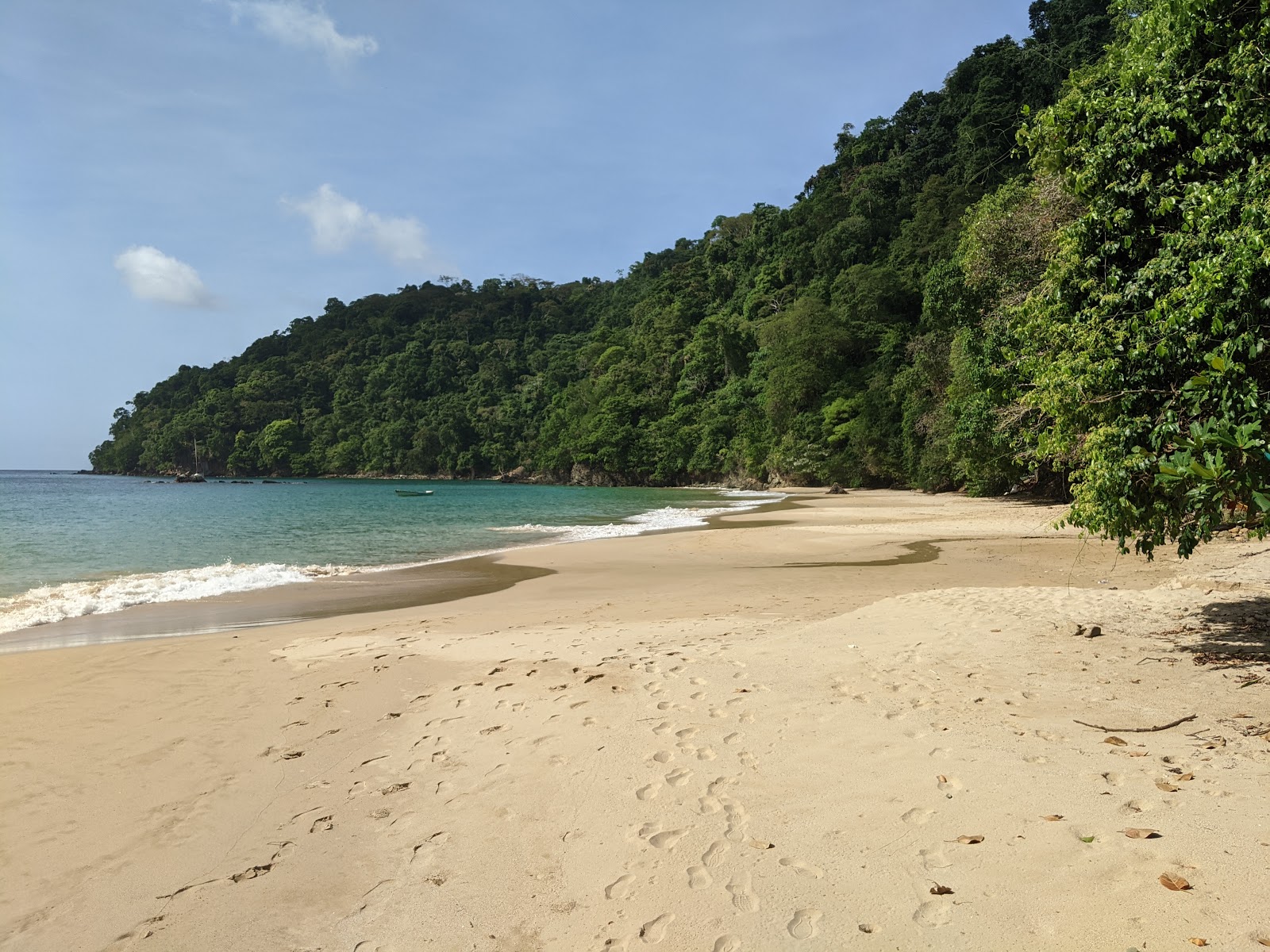 Φωτογραφία του Pirate's Bay beach με φωτεινή λεπτή άμμο επιφάνεια