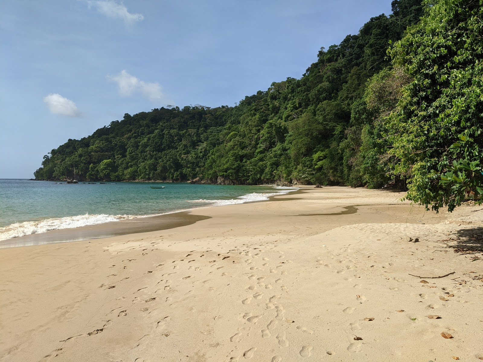 Zdjęcie Pirate's Bay beach z powierzchnią drobny beżowy piasek
