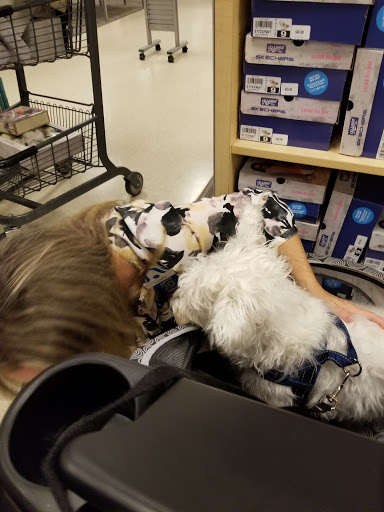 Department Store «Bealls Store», reviews and photos, 3659 Wedgewood Ln, The Villages, FL 32162, USA