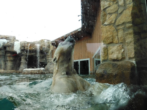 Golf Course «Swope Memorial Golf Course», reviews and photos, 6900 Swope Memorial Dr, Kansas City, MO 64132, USA