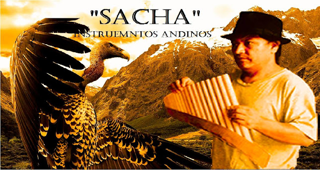 Opiniones de Sacha Instrumentos Andinos Otavalo en Otavalo - Tienda de instrumentos musicales