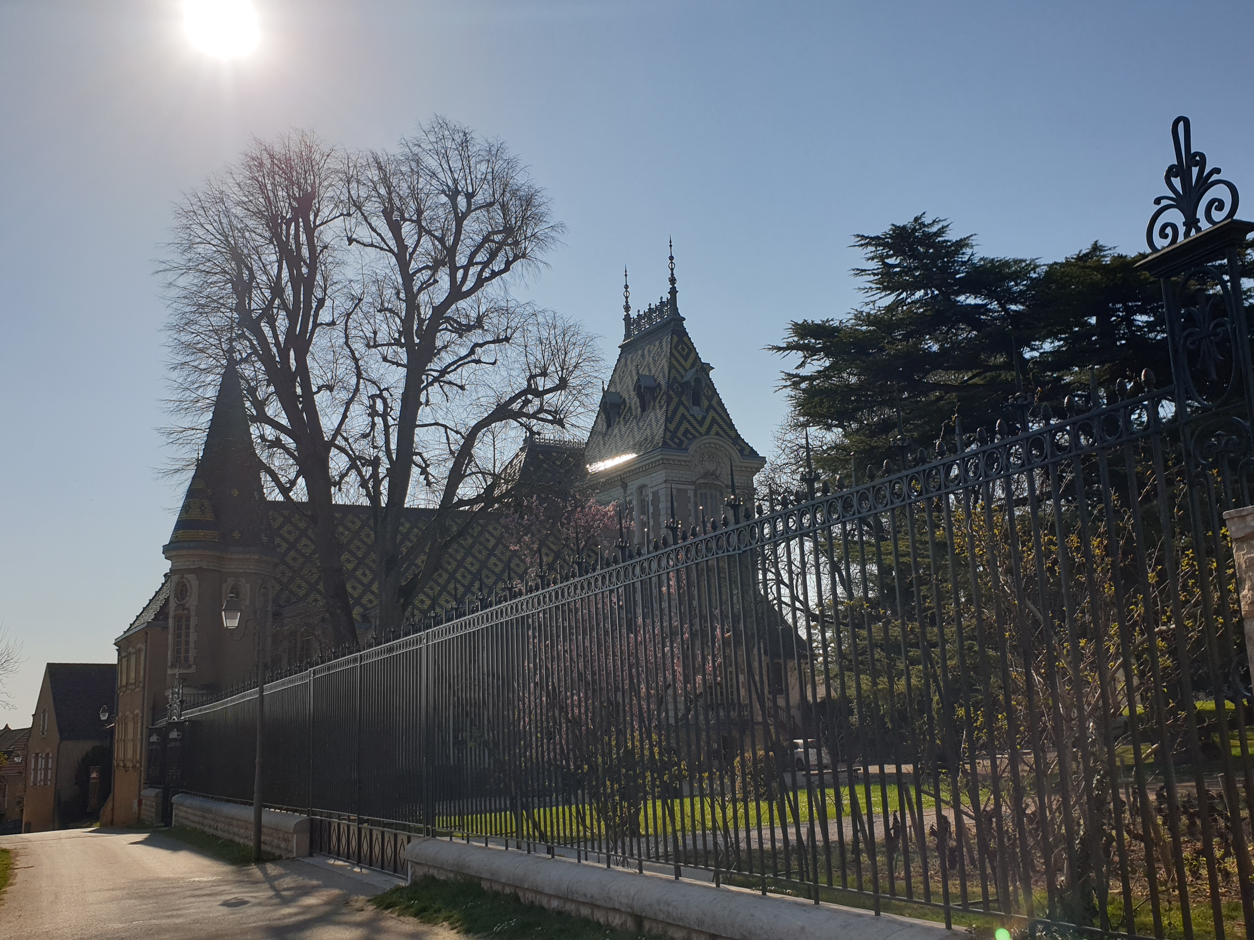 Photo n° 2 de l'avis de Bernard. fait le 22/03/2022 à 15:29
