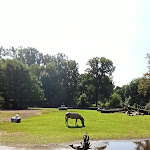 Photo n°2 de l'avis de Ingo.t fait le 09/09/2021 à 12:01 sur le  Tierparkrestaurant à Cottbus
